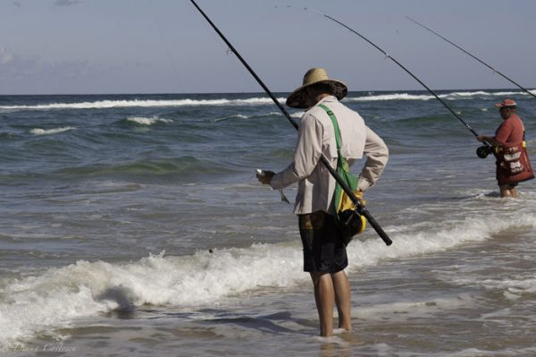 Fraser Island Fishing Beach Reef Estuary About Fraser