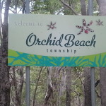 Orchid Beach