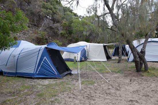 Fraser Island camping at Waddy