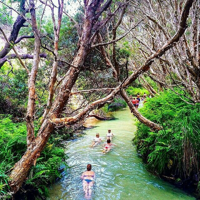 Swimming (floating) down eli creek