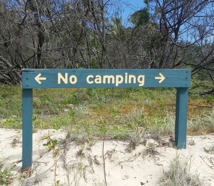 Keep an eye out for the NO camping signs