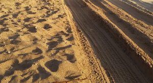 Sand driving Track on Fraser Island