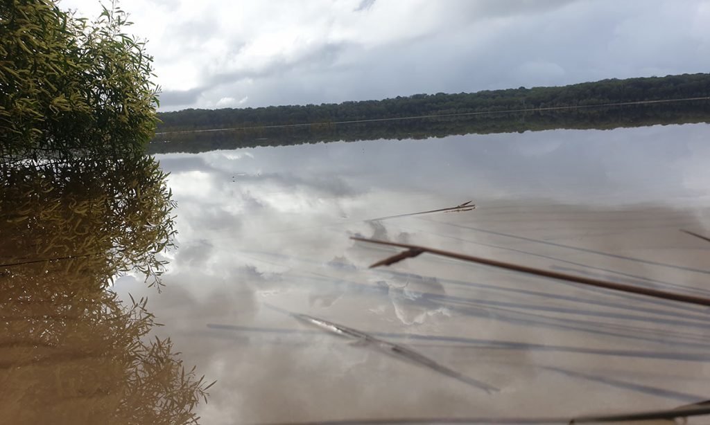 Lake Boomanjin lake shore