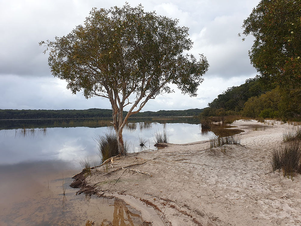 A scenic view of Lake Boomanjin