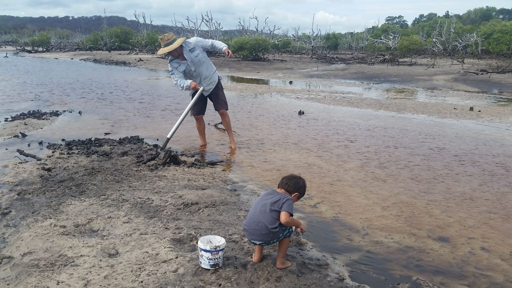 Pumping for Yabbies