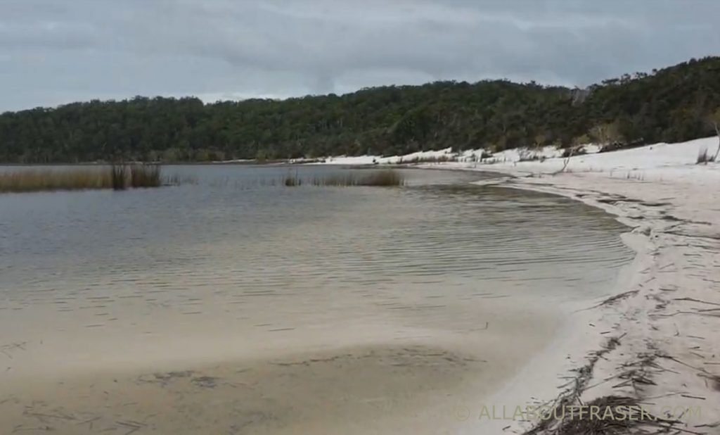 Lake birrabeen lake shore