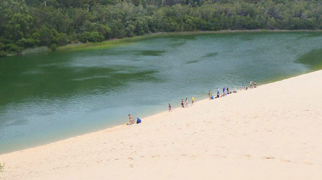 The dunes at reach Lake Waddy