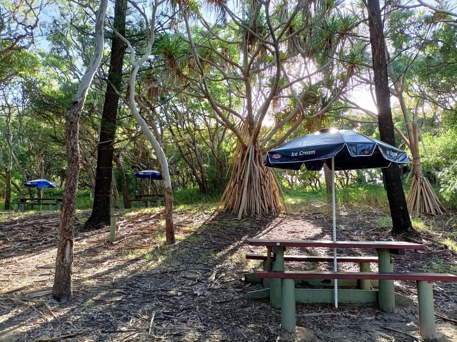 Cathedrals on Fraser - Fraser Island Destination | All About Fraser