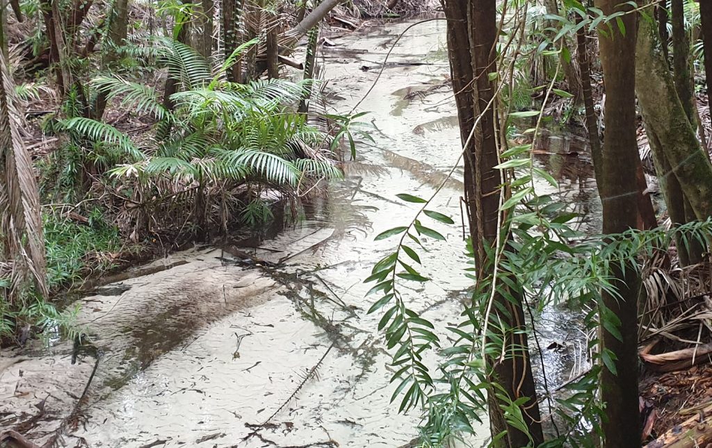 Wanggoolba Creek - Central Station Fraser Island Australia