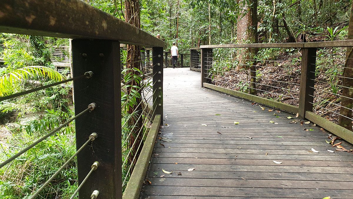 Central Station Board walk Fraser Island Australia