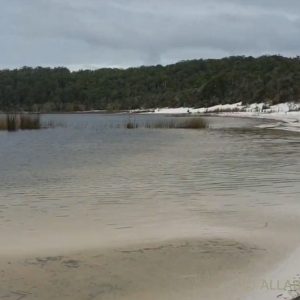 Lake birrabeen lake shore