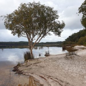 Lake Boomanjin