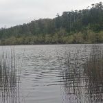 Lake Allom