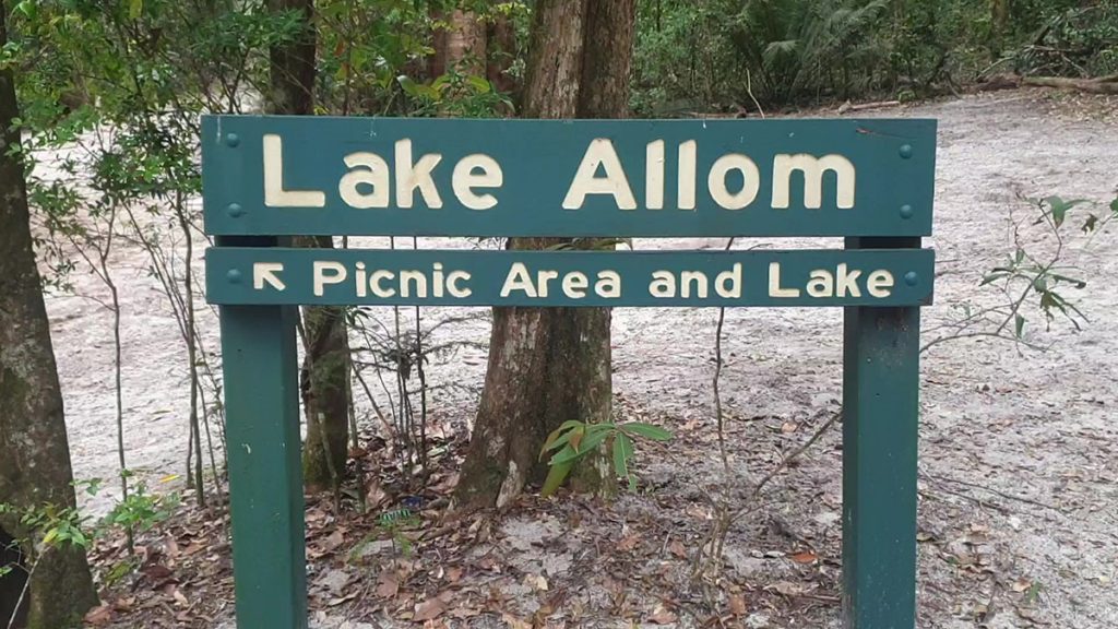 Lake Allom Picnic Area and lake