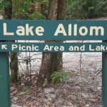 Lake Allom Picnic Area and lake