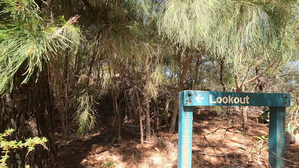 Lookout at Ocean Lake