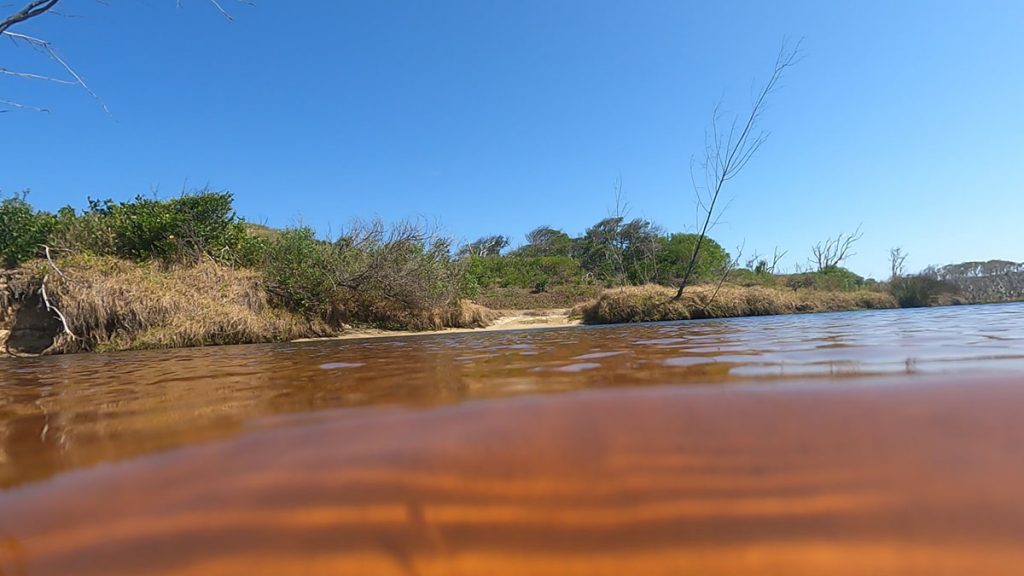 Orange creek swiming