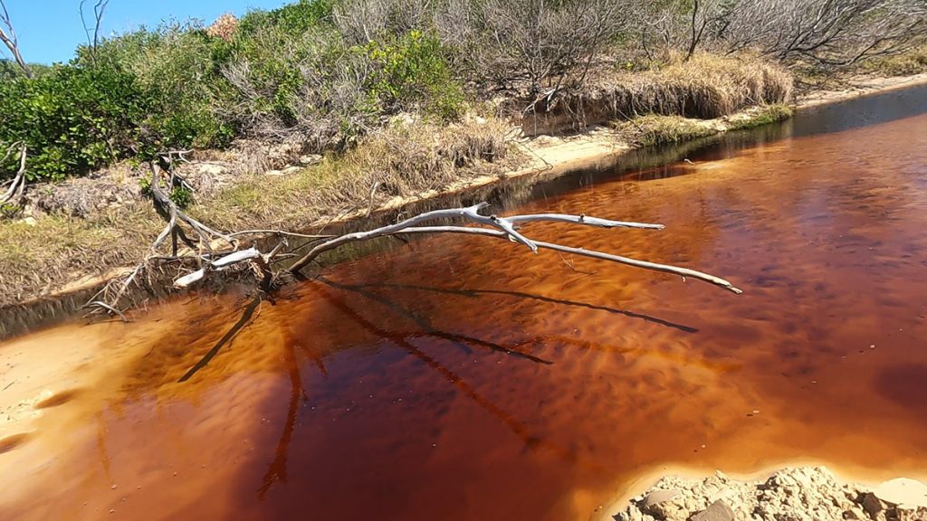 Orange creek live up to its name