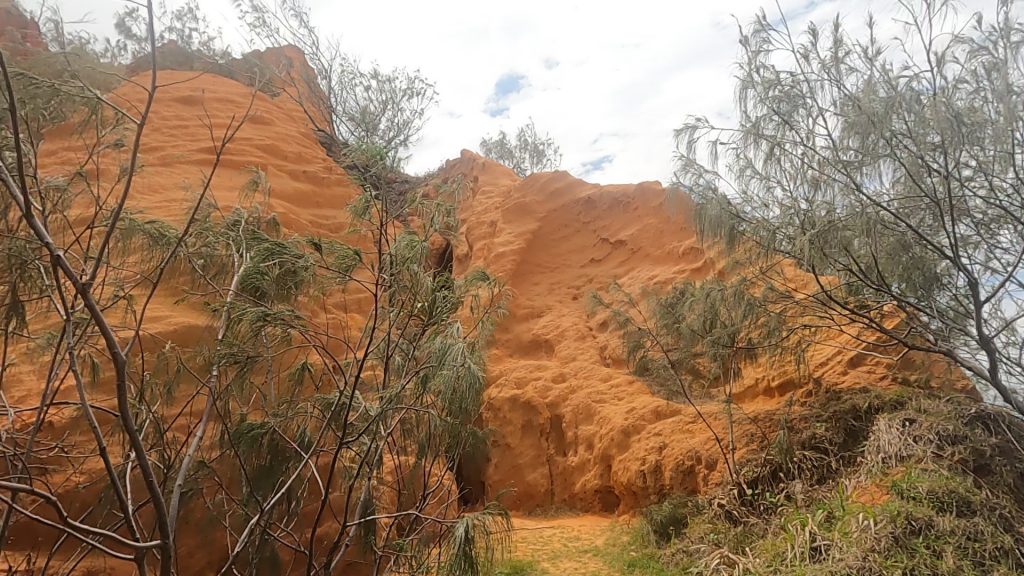 The depths of red canyon