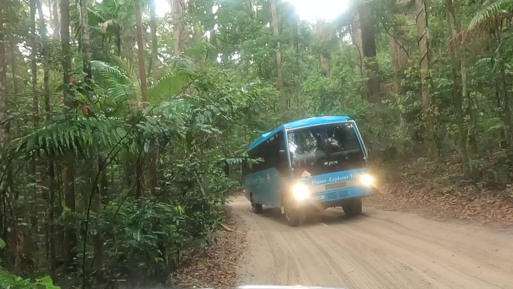 passing a bus on fraser island