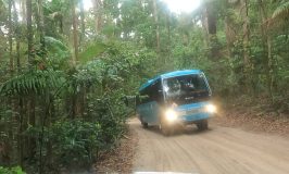 passing a bus on fraser island