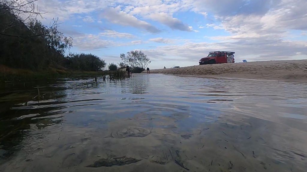 Stop for a swim at Little Eli Creek (Wyuna Creek (Paradise) Fraser Island)