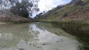 Wyuna Creek (Paradise) Fraser Island known to the locals as Little Eli Creek